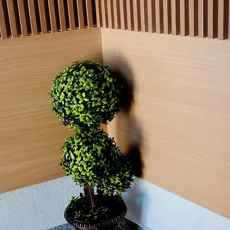 And Monaco Appartement