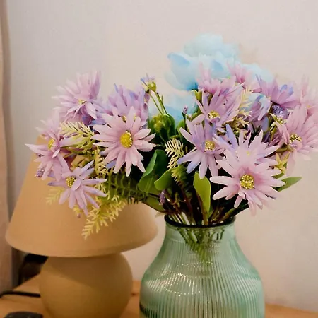 Appartement And Monaco Mostar