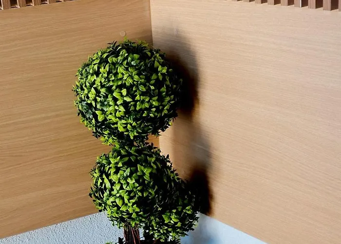 And Monaco Apartamento